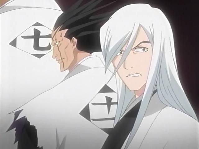 Otaku Gallery  / Anime e Manga / Bleach / Screen Shots / Episodi / 095 - Byakuya prende il campo - Ballo del vento dei fiori di ciliegio / 009.jpg